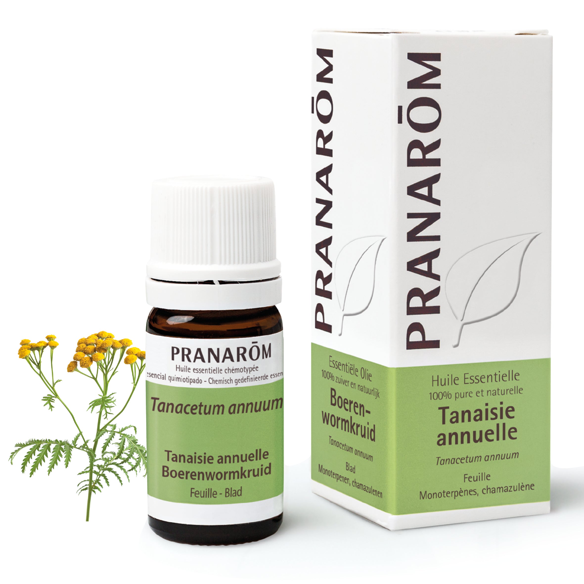 Flacon d'huile essentielle de tanaisie annuelle (tanacetum annuum), 5ml, de Pranarôm.