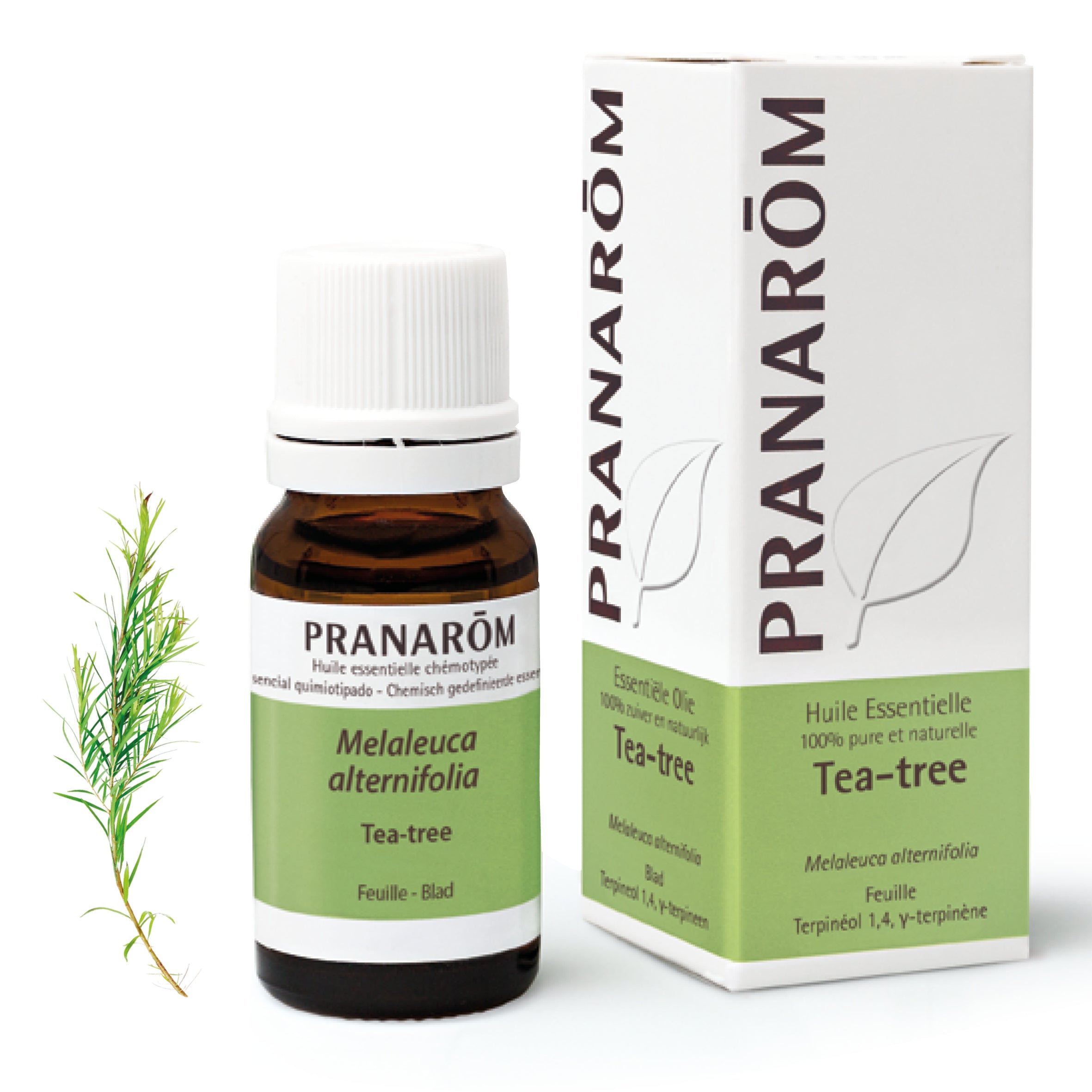 Flacon d'huile essentielle de tea tree (melaleuca alternifolia), 10ml, de Pranarôm.
