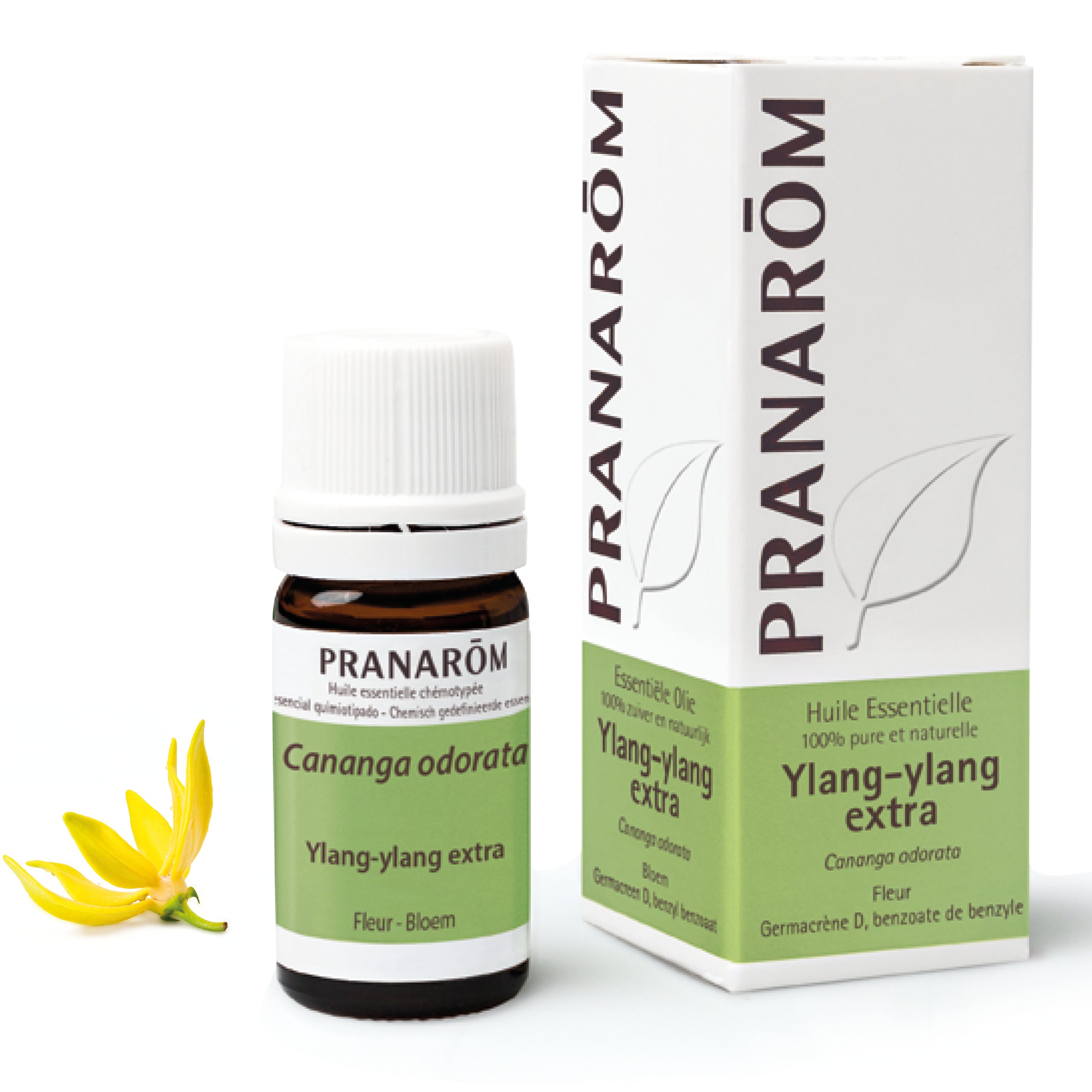 Flacon d'huile essentielle de ylang-ylang extra (cananga odorata), 5ml, de Pranarôm.