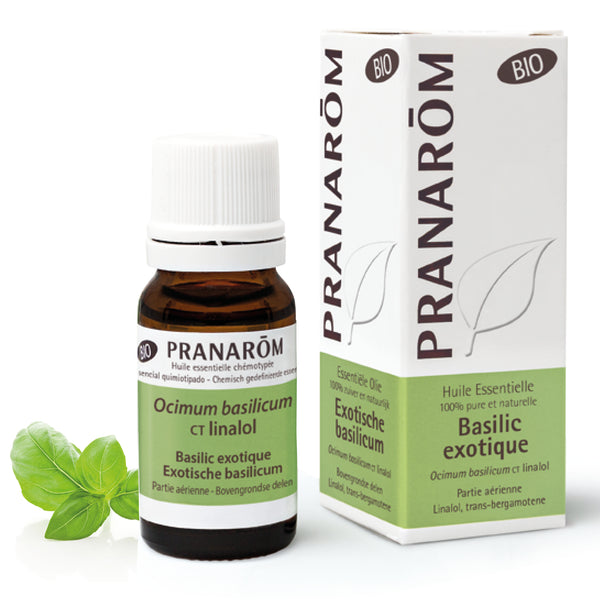 Huile essentielle de basilic exotique biologique (Ocimum basilicum), flacon Pranarom, idéale pour la digestion et le bien-être naturel.