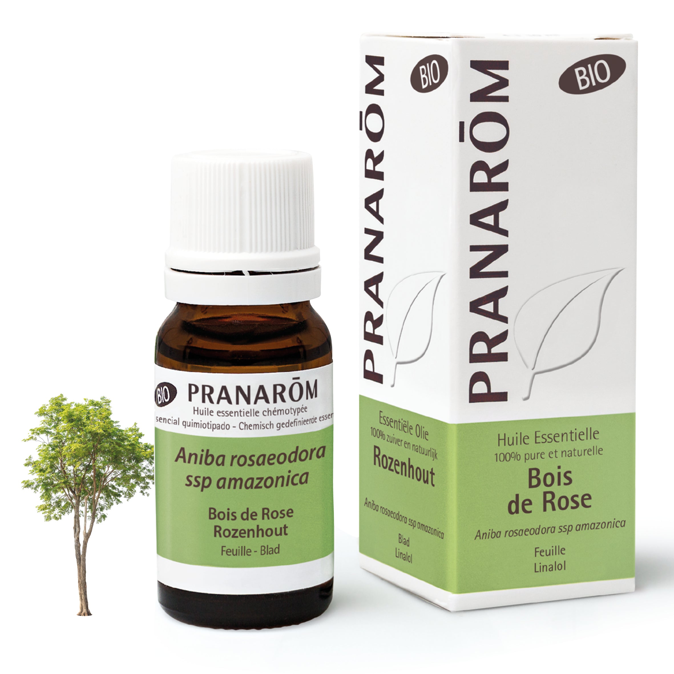 Huile essentielle de Bois de Rose (Aniba rosaeodora), bio et chémotypée, Pranarom, parfum doux et propriétés régénérantes.