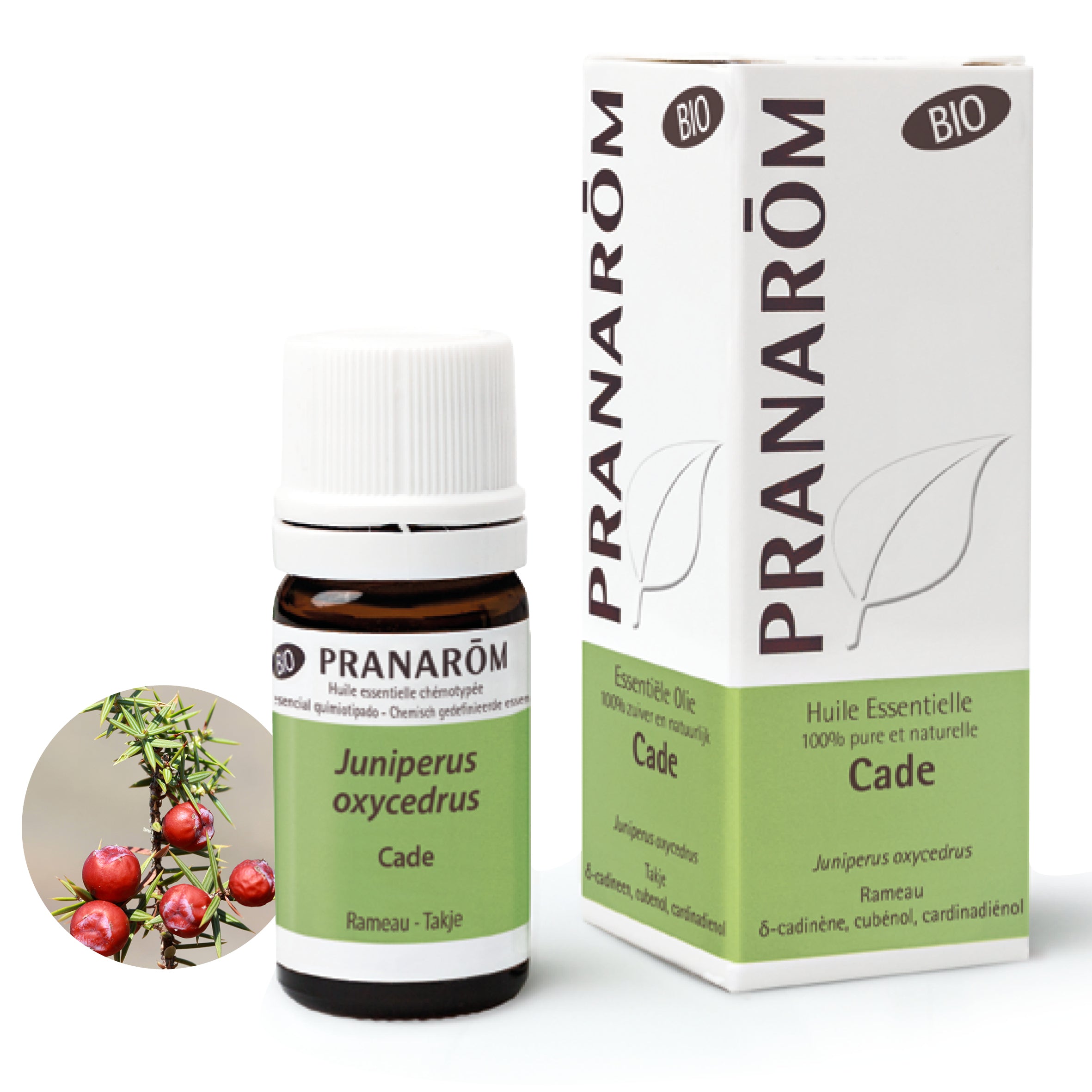Huile essentielle de Cade (Juniperus oxycedrus), rameau, bio et chémotypée, Pranarom, purifiante et protectrice.