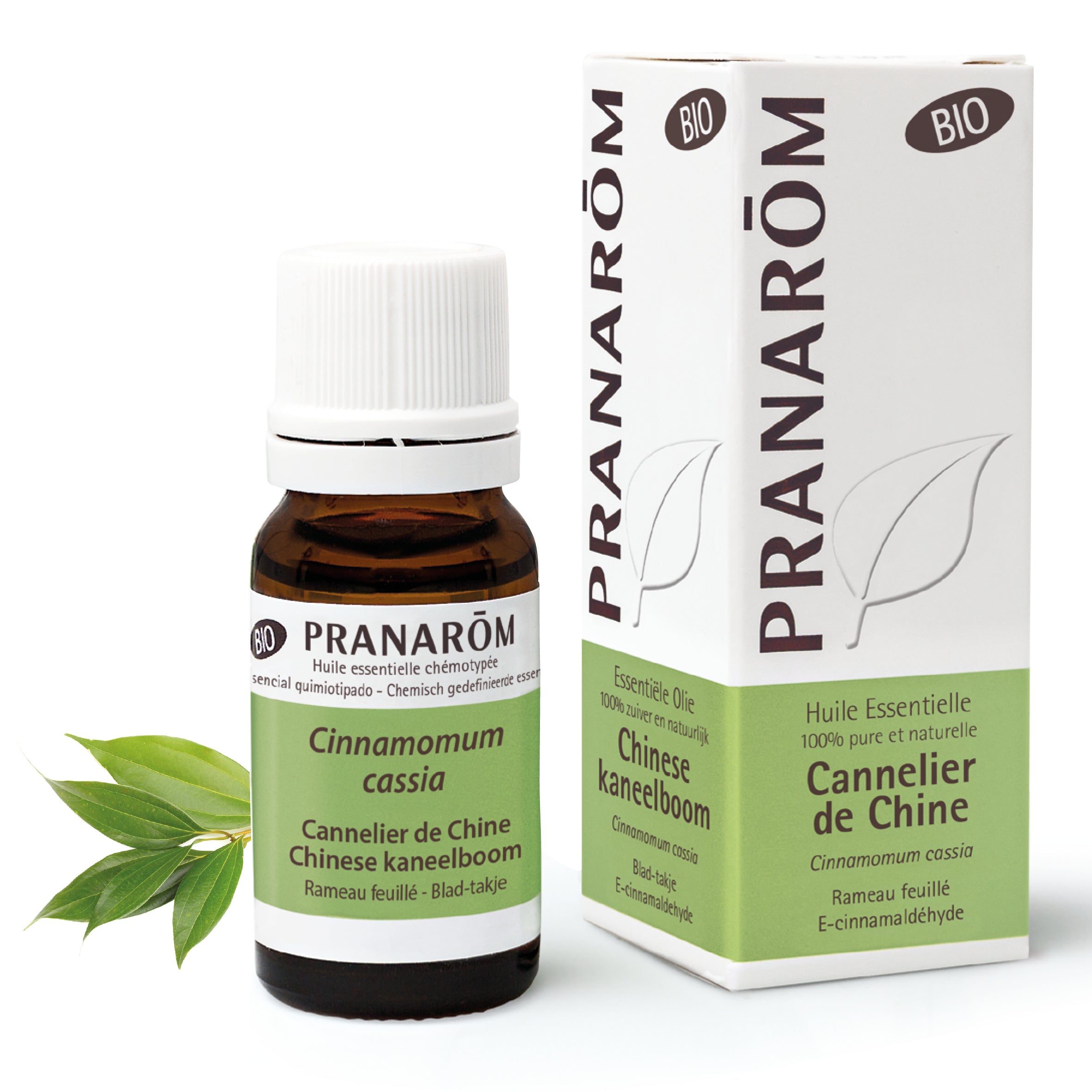 Huile essentielle d’écorce et rameaux feuillés de Cannelier de Chine (Cinnamomum cassia), bio et chémotypée, Pranarom, stimulante et réchauffante.
