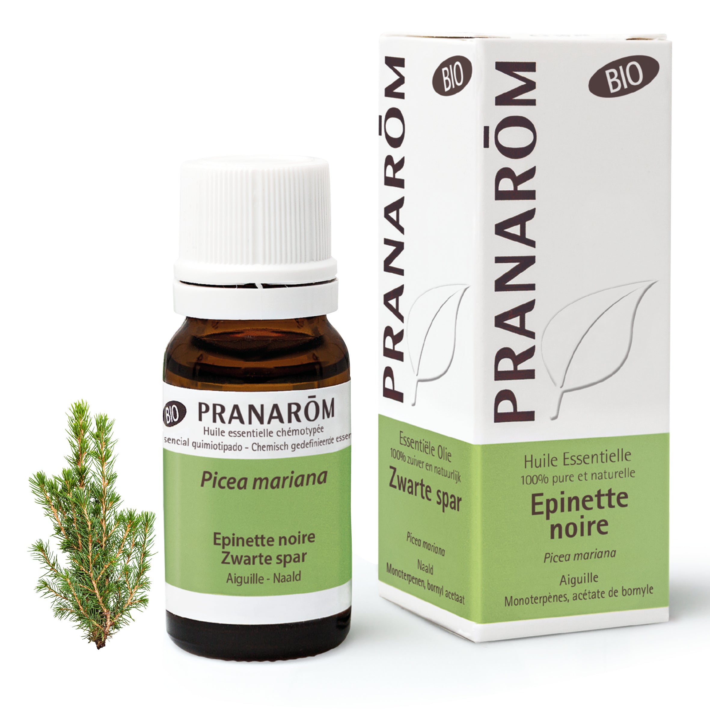 Huile essentielle de Picea mariana (Épinette noire), flacon en verre pour soutien respiratoire, détente musculaire et diffusion aromathérapie.