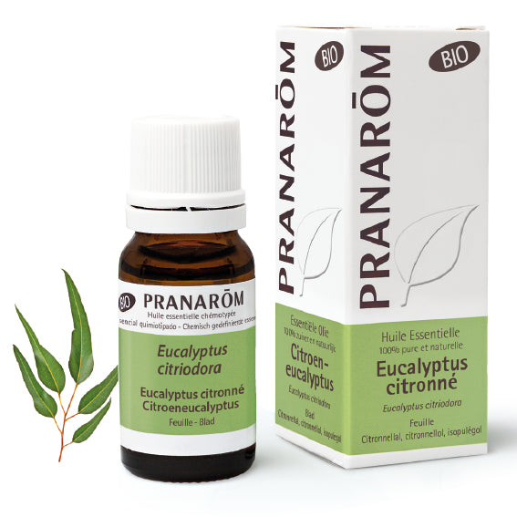 Huile essentielle d’Eucalyptus citronné, flacon en verre pour diffusion, soulagement musculaire, confort respiratoire et bien-être général.