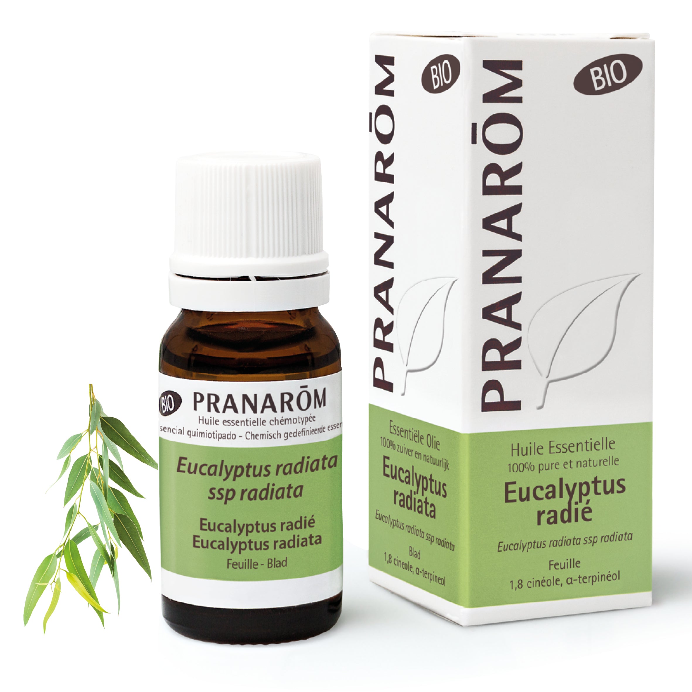 Huile essentielle d’Eucalyptus radié, flacon en verre pour soutien respiratoire, stimulation immunitaire et diffusion aromathérapie.