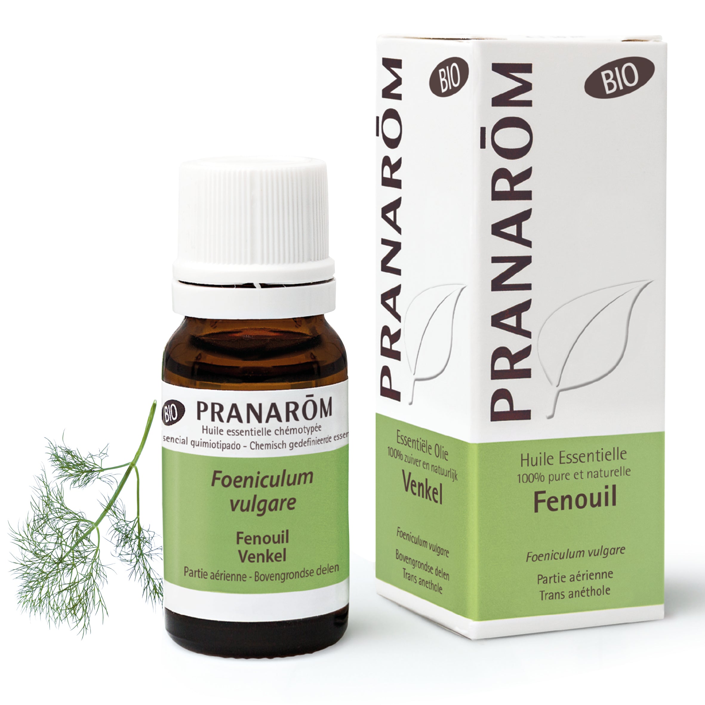 Huile essentielle de Fenouil Pranarom 10 ml, flacon en verre pour digestion, confort intestinal, aromathérapie et régulation digestive.