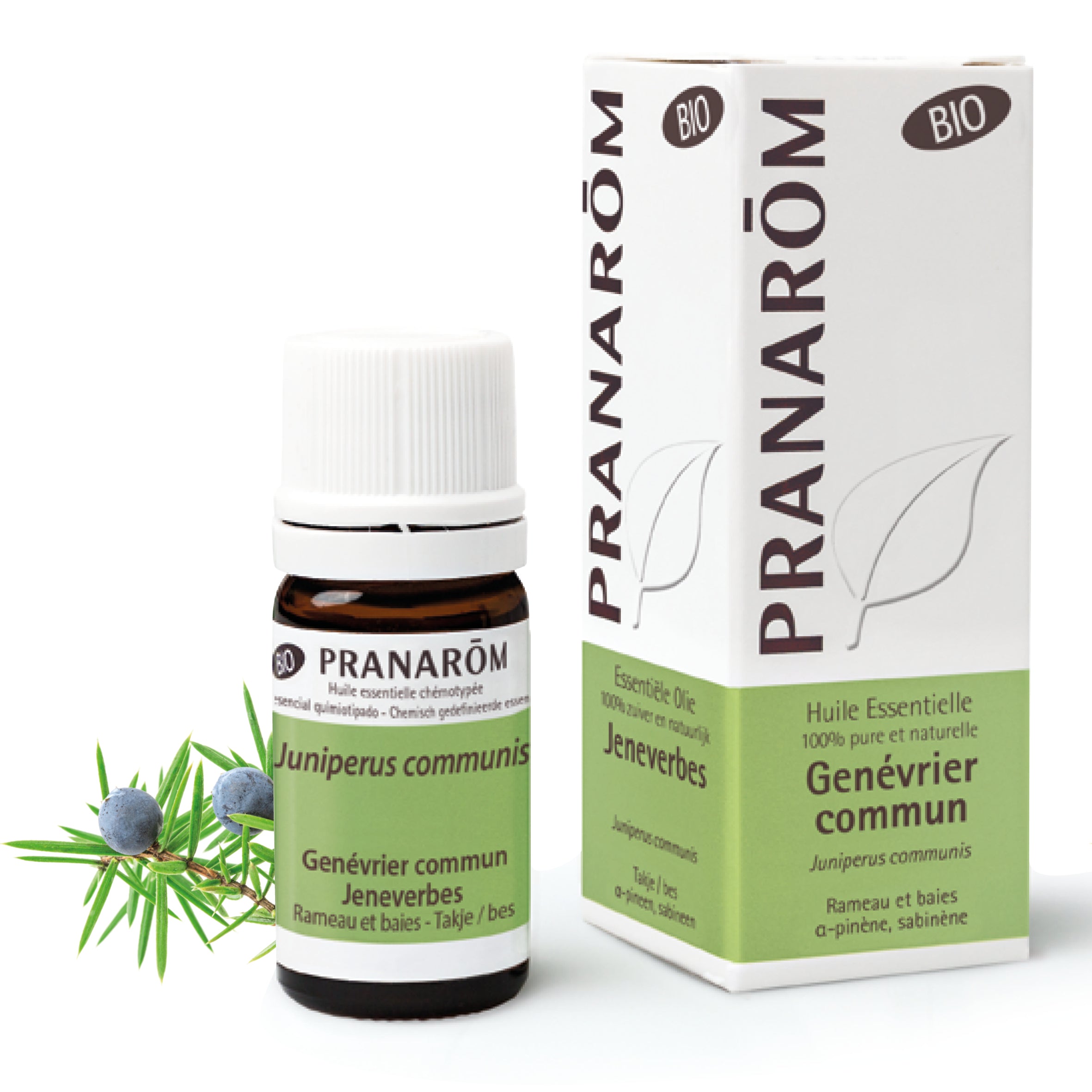 Extrait aromatique de genévrier Pranarom biologique rameau et fruits recommandé pour stimuler la circulation et réduire les tensions articulaires.