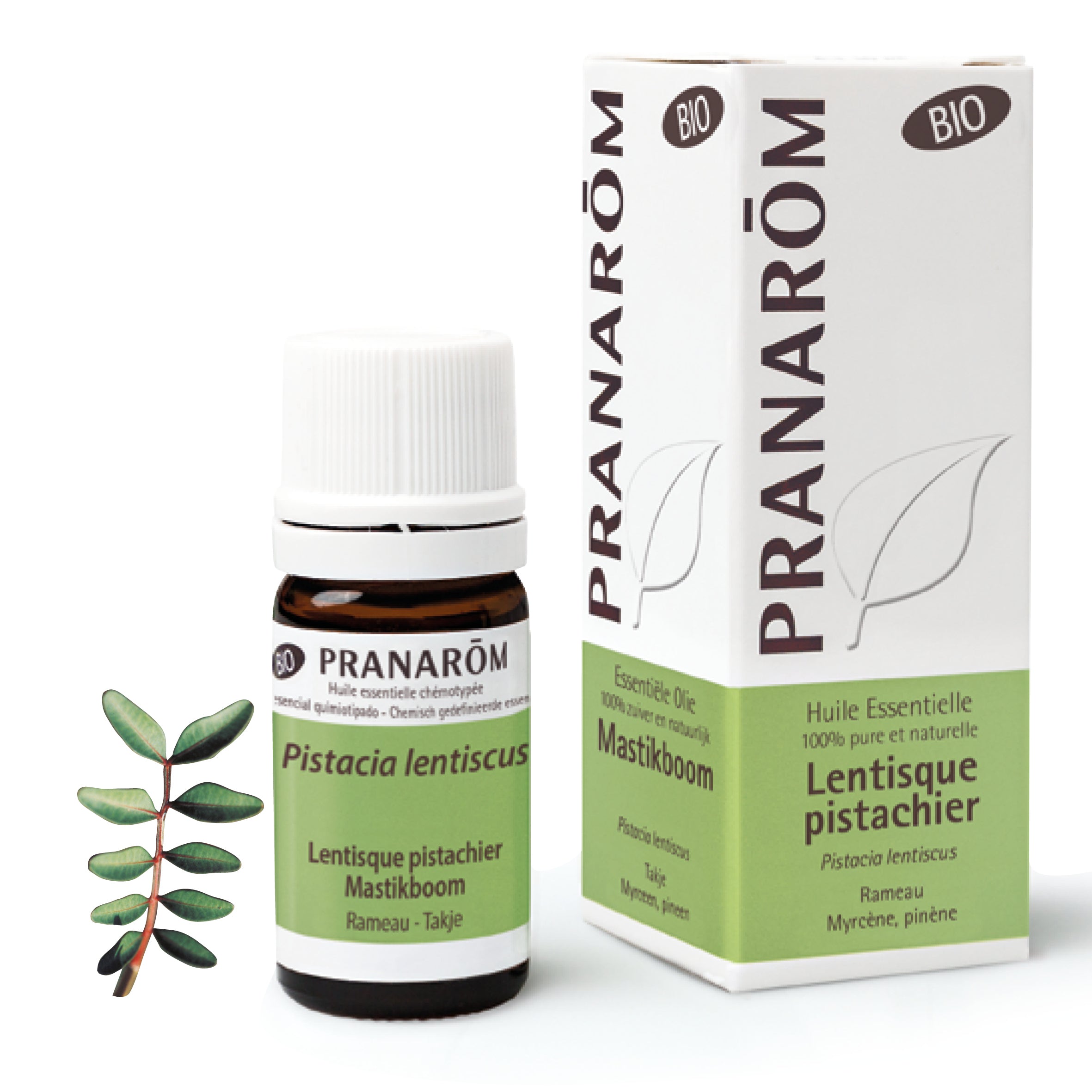 Huile essentielle de Lentisque pistachier bio, reconnue pour améliorer la circulation sanguine et soulager naturellement la sensation de jambes lourdes.