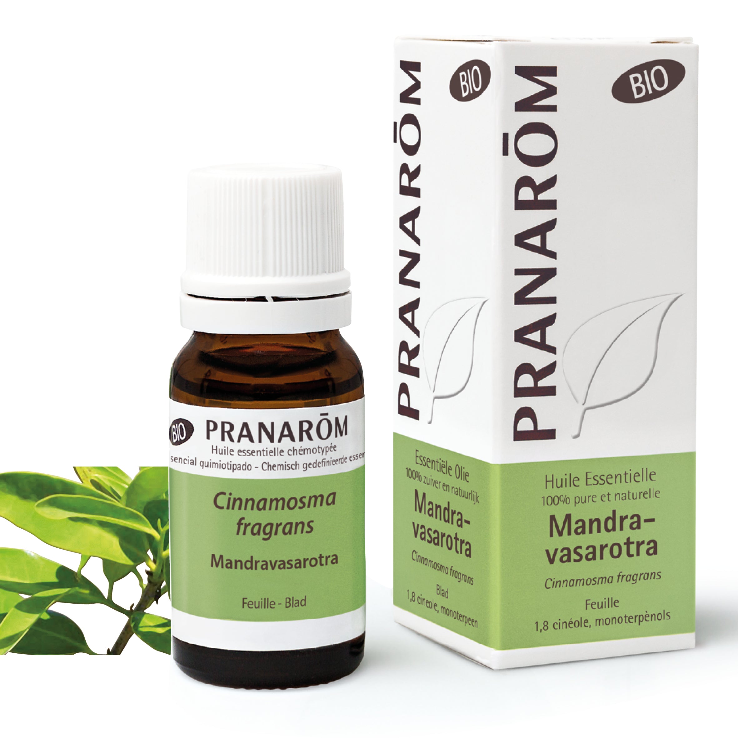 Huile essentielle de Mandravasarotra bio, utilisée en prévention hivernale, soutient les voies respiratoires et renforce les défenses immunitaires naturelles.