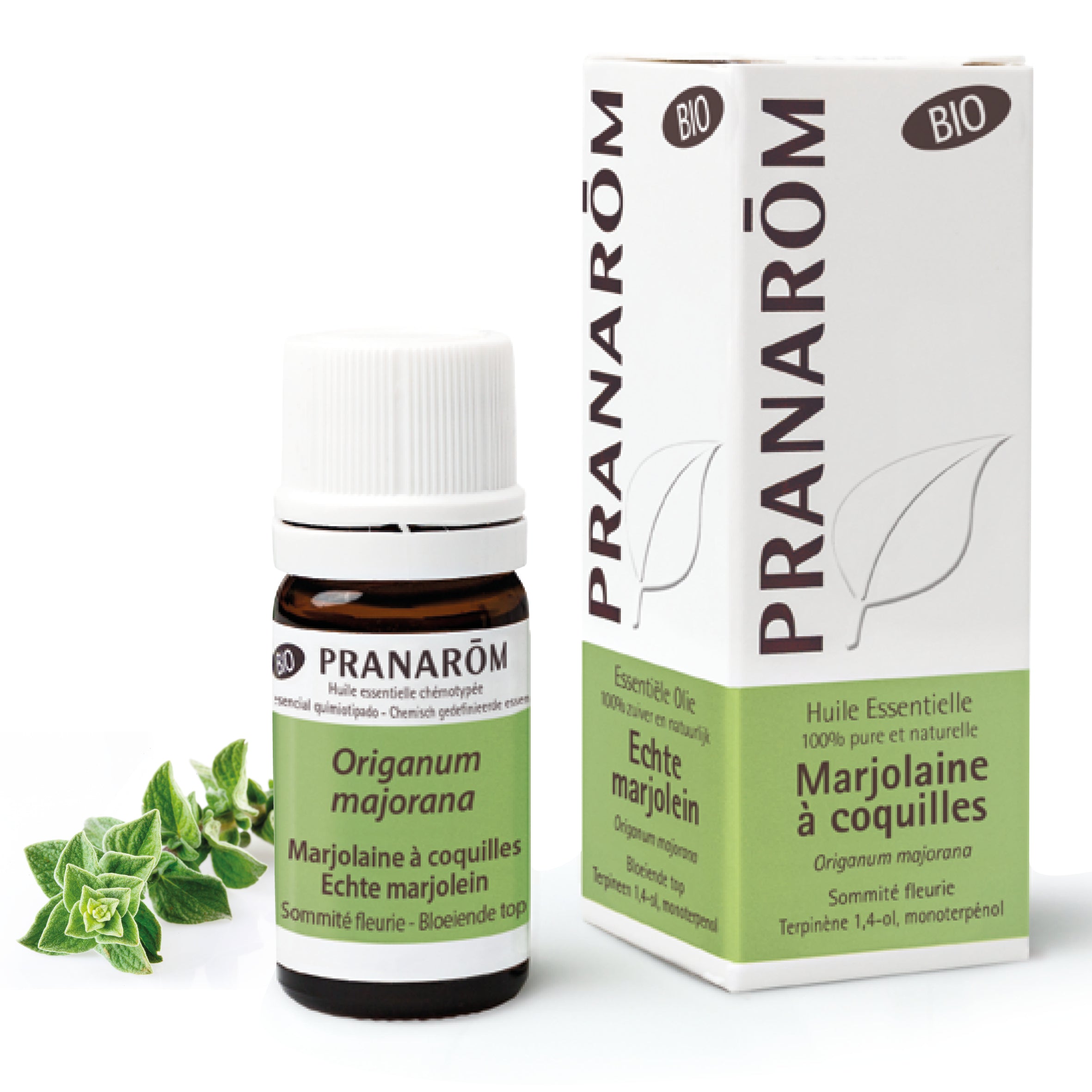 Huile essentielle de Marjolaine à coquille bio, antistress puissant, recommandée pour les troubles du sommeil, l’anxiété et la détente profonde.