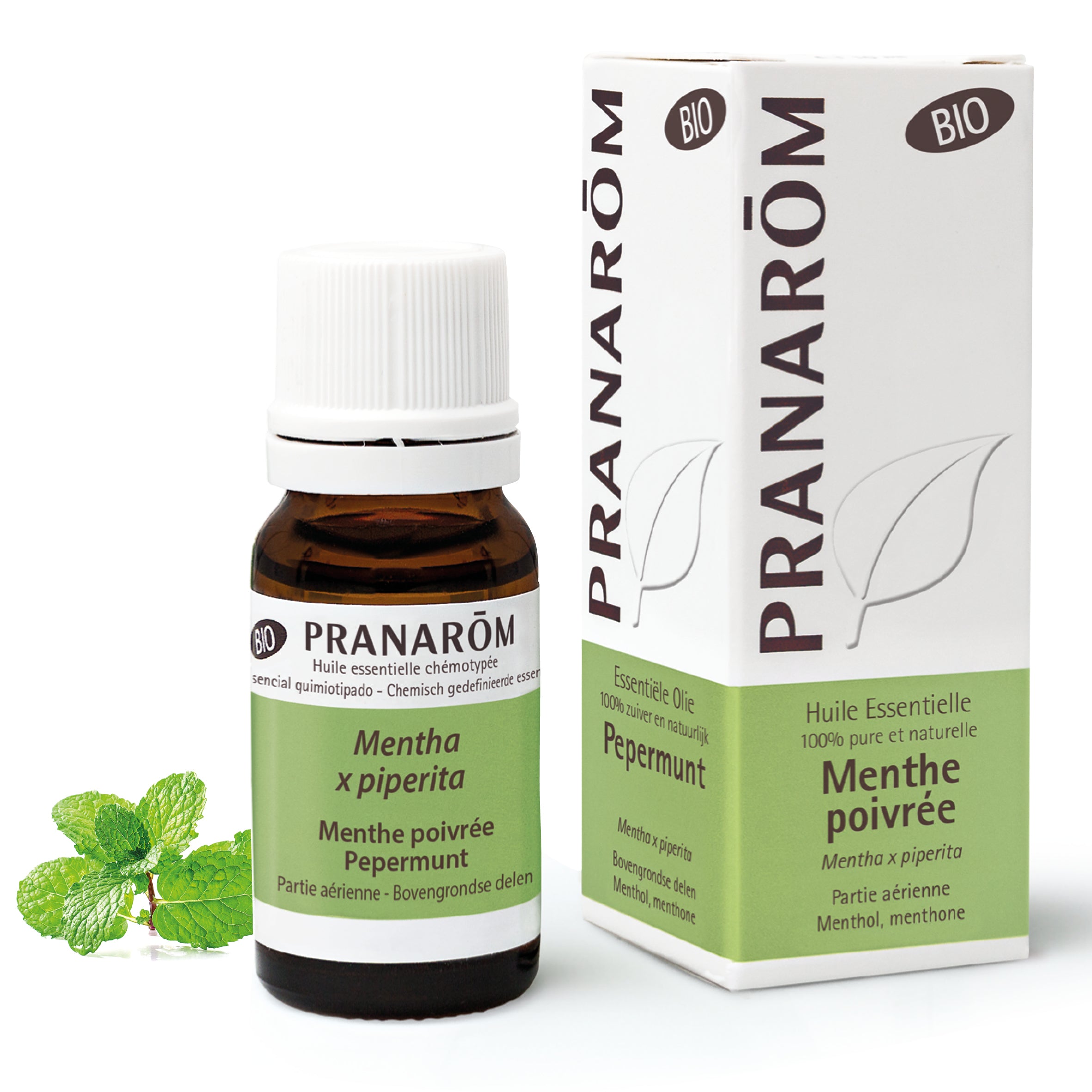 Huile essentielle de Menthe poivrée bio, énergisante et rafraîchissante, idéale pour soulager les migraines, les nausées et améliorer la concentration.