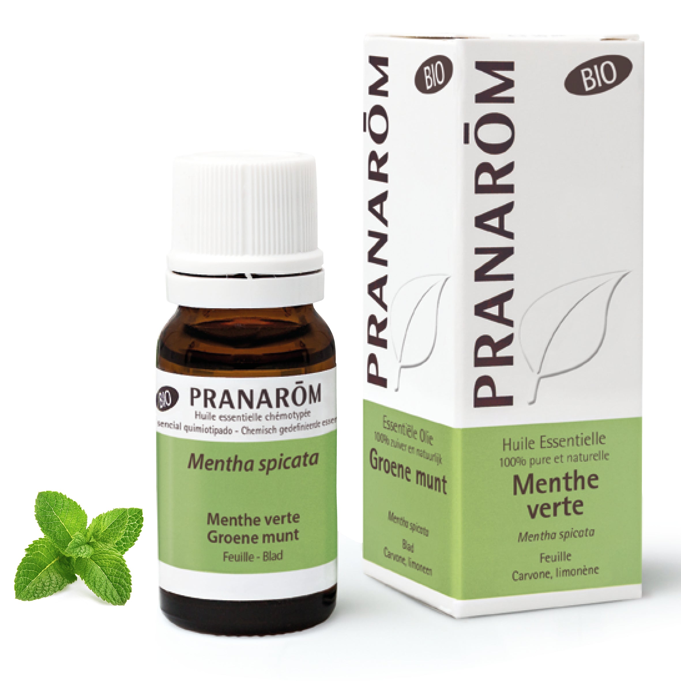 Huile essentielle de Menthe verte bio, à l’arôme doux et sucré, appréciée pour rafraîchir l’haleine, apaiser l’estomac et soutenir le bien-être digestif.