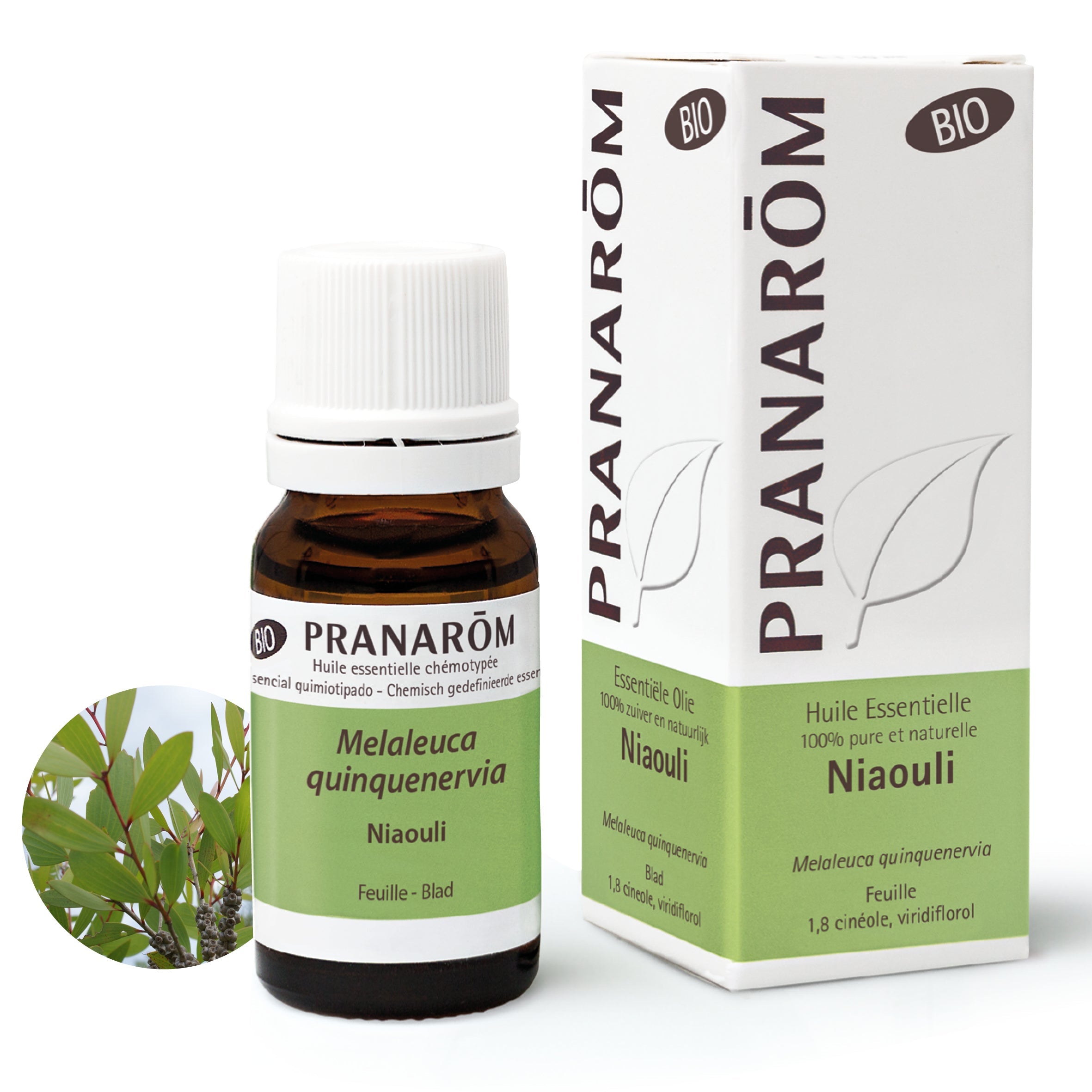 Niaouli Essential oil - Bio