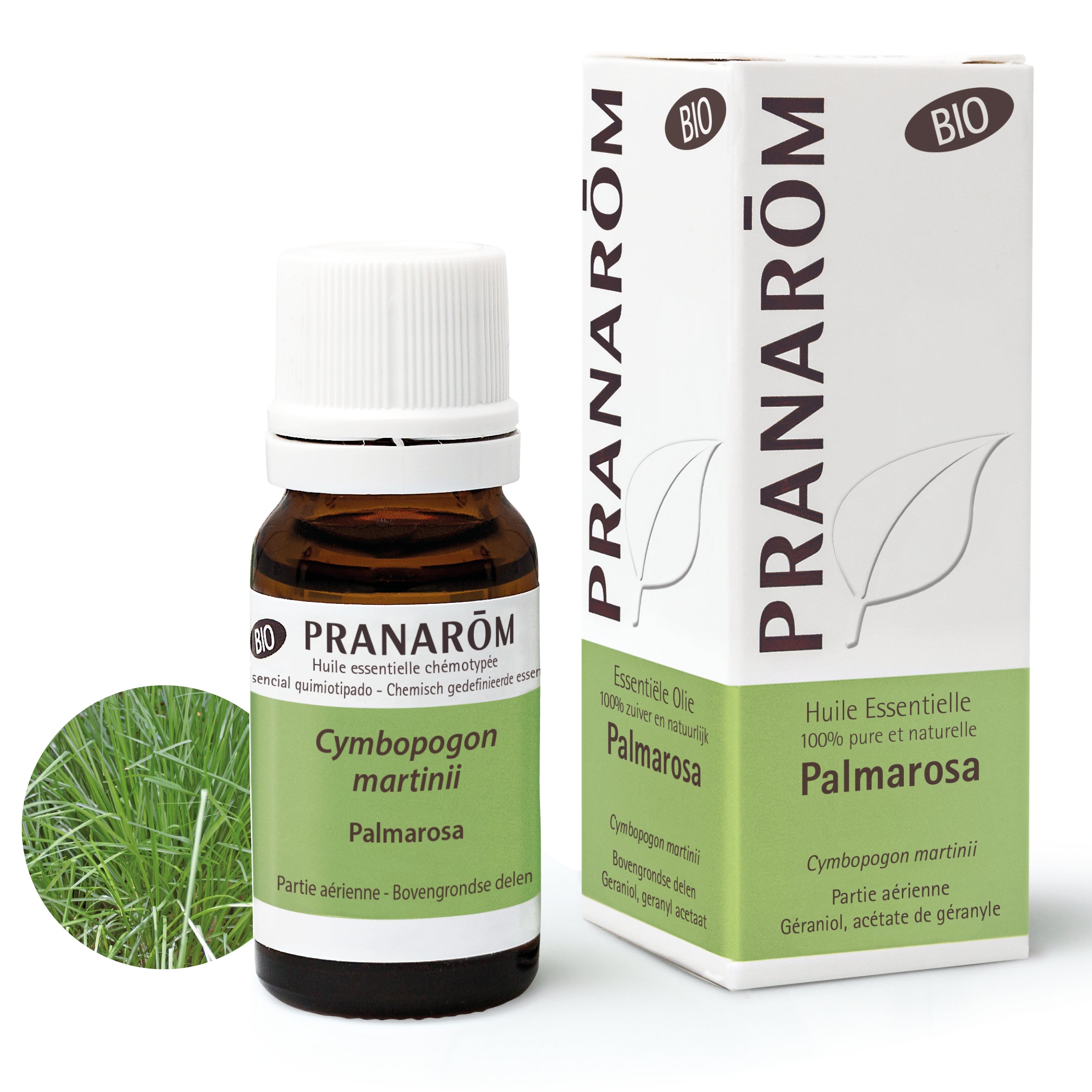Palmarosa (Cymbopogon martinii var. motia) huile essentielle régénérante et équilibrante, bénéfique pour la peau et l’harmonie émotionnelle