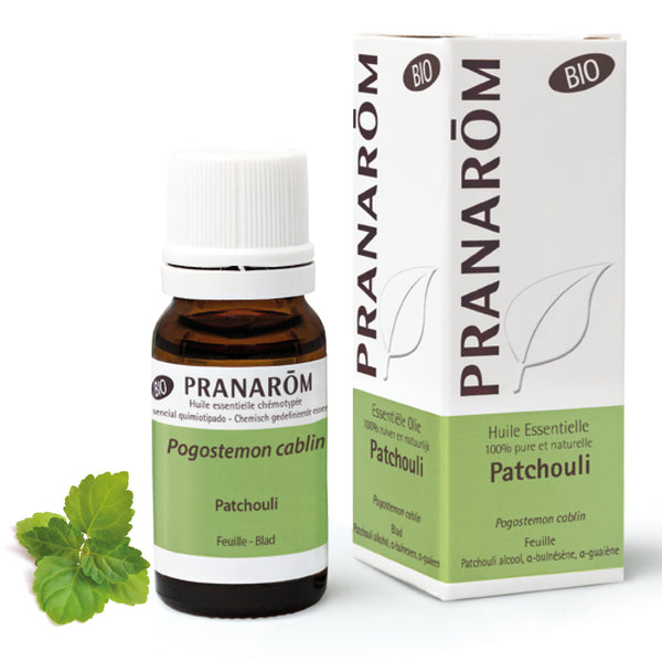 Patchouli (Pogostemon cablin) huile essentielle cicatrisante et équilibrante, soutient la peau et apaise le mental