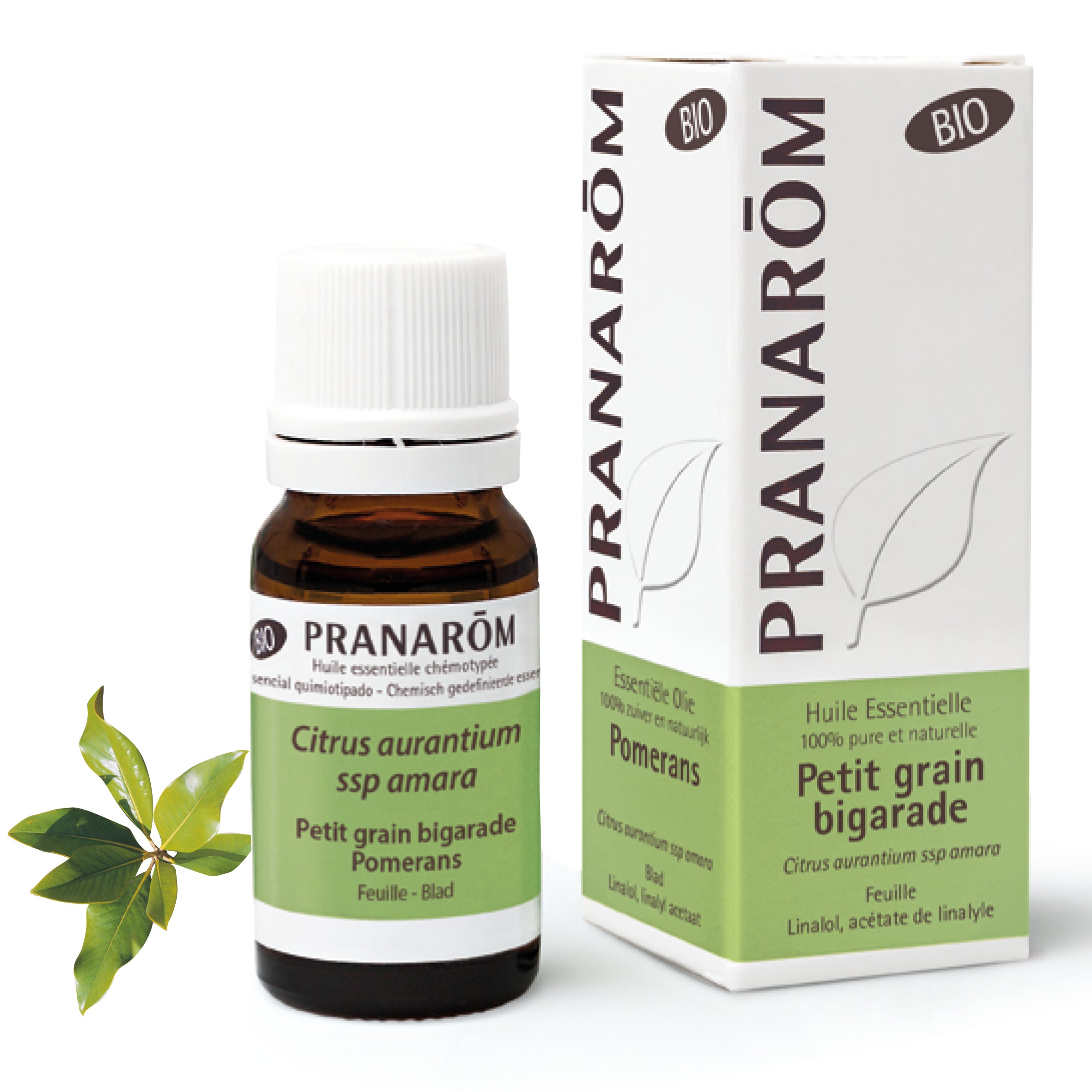 Petit grain bigarade (Citrus aurantium ssp. amara) huile essentielle relaxante et harmonisante, apaise le stress et améliore le sommeil