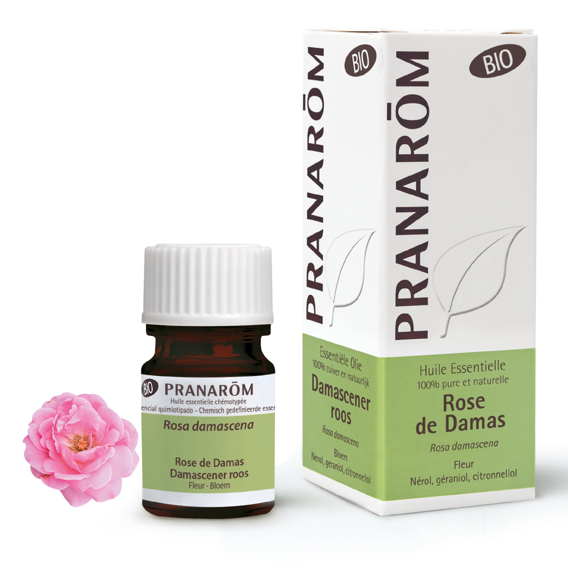 Huile essentielle de rose de Damas (Rosa damascena), précieuse pour son parfum floral et ses bienfaits sur l’équilibre émotionnel et la peau.
