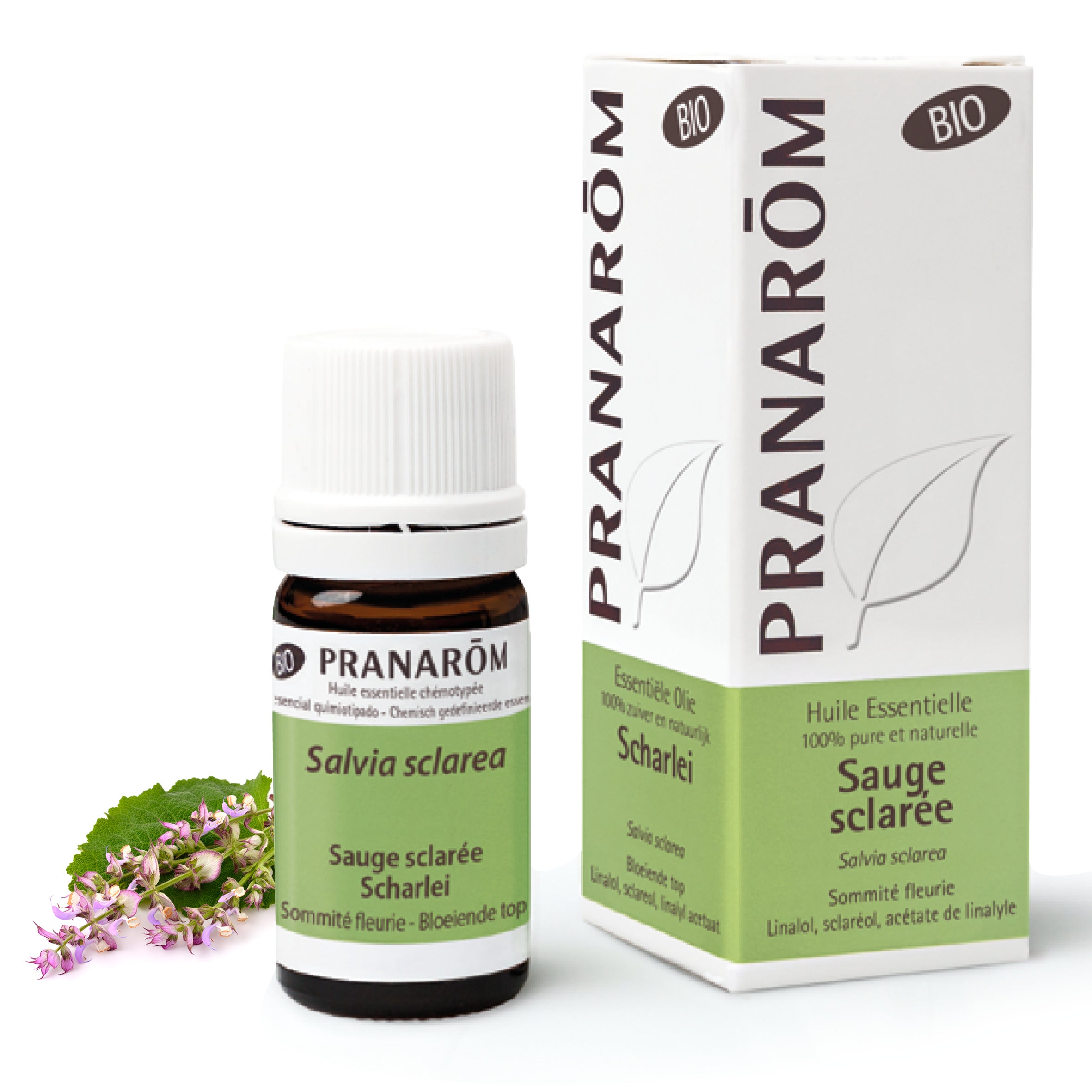 Huile essentielle de sauge sclarée (Salvia sclarea), réputée pour ses vertus hormonales et son action équilibrante chez la femme.