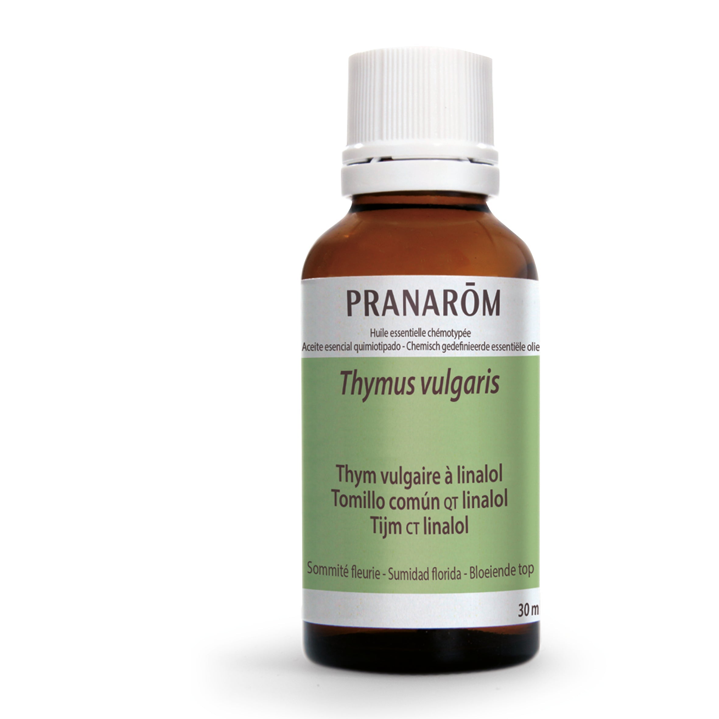 Thym vulgaire à linalol