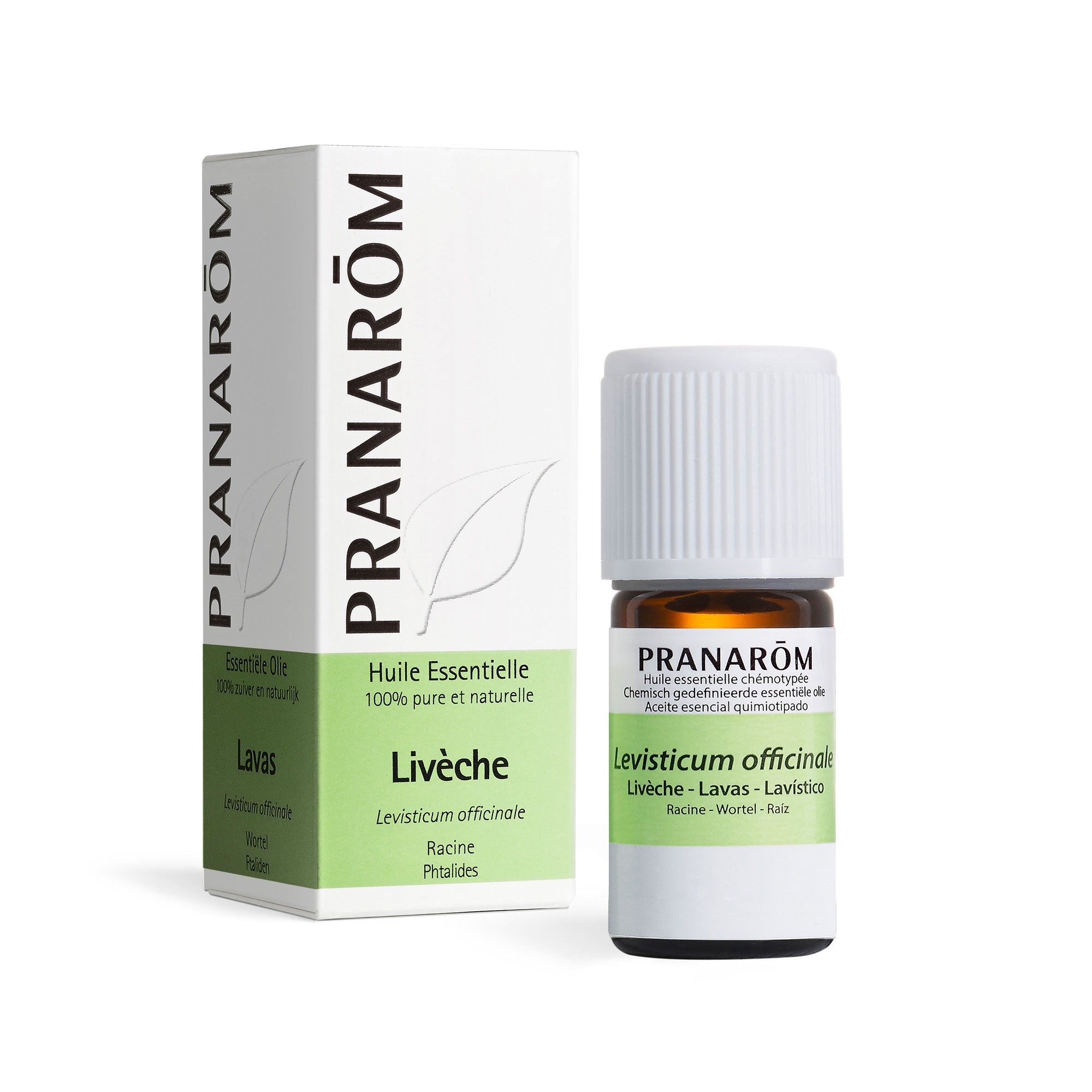 Lovage