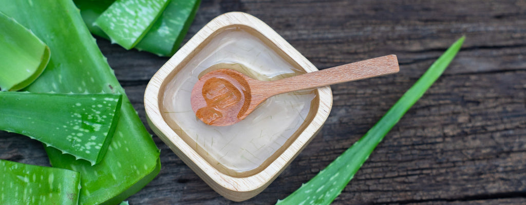 aloe vera gel haarausfall erfahrungsberichte Bio Aloe Vera Gel 2in1 – Feuchtigkeit für Haut & Haar