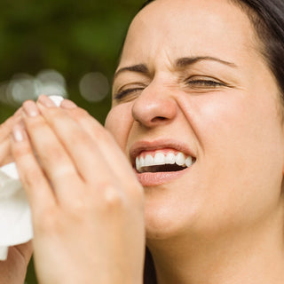 L’efficacité des huiles essentielles sur la rhinite allergique scientifiquement prouvée !