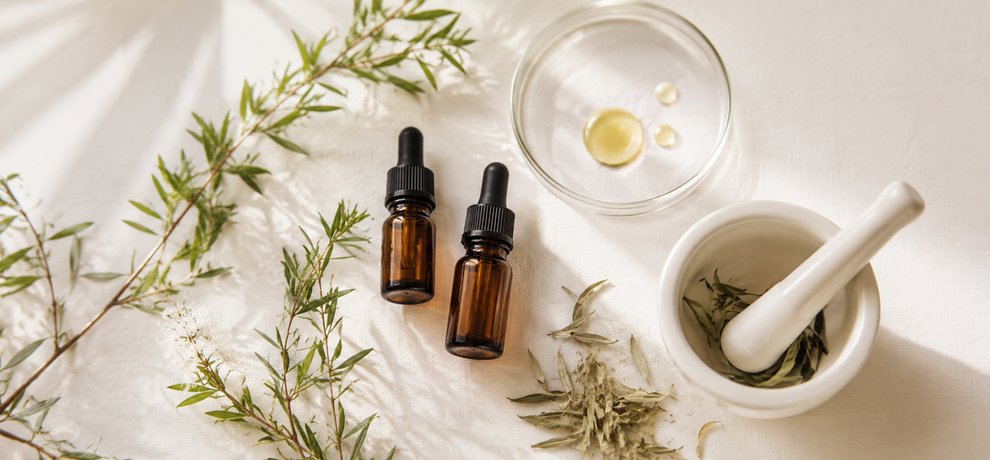 Flacons d'Huiles Essentielles en verre ambre avec feuilles de tea tree et boite de Petri sur fond blanc