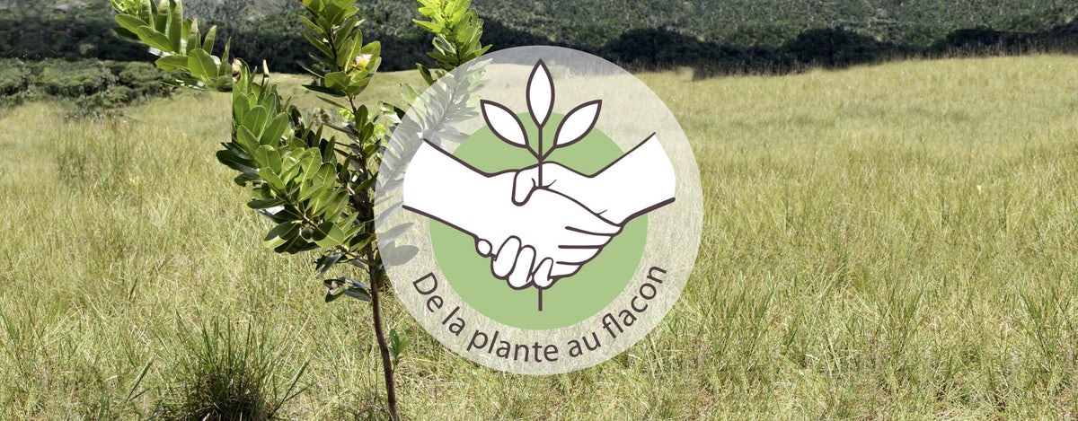 PRANAROM : des huiles essentielles de qualité