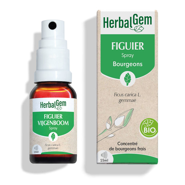 030171-figuier-spray-herbalgem-15ml-fr25-5407008641504-01.jpg