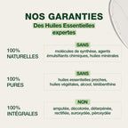 10272-gel-poussees-dentaires-pranarom-15ml-fr24-5420008510397-03.jpg