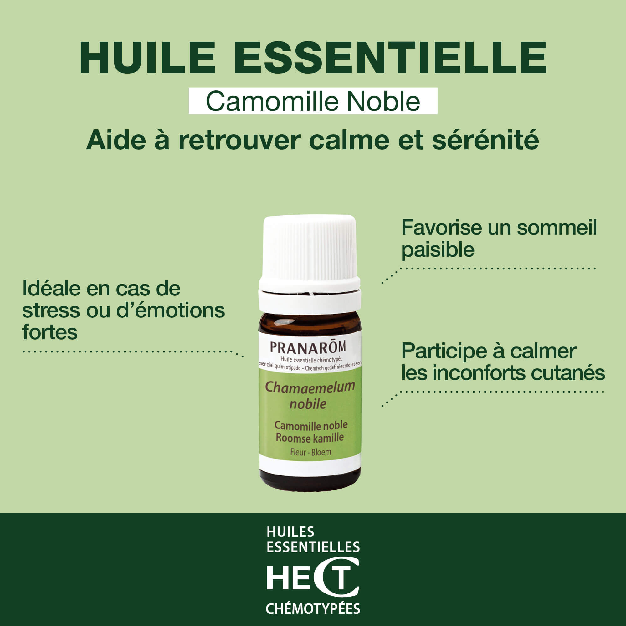 Huile Essentielle de Camomille noble