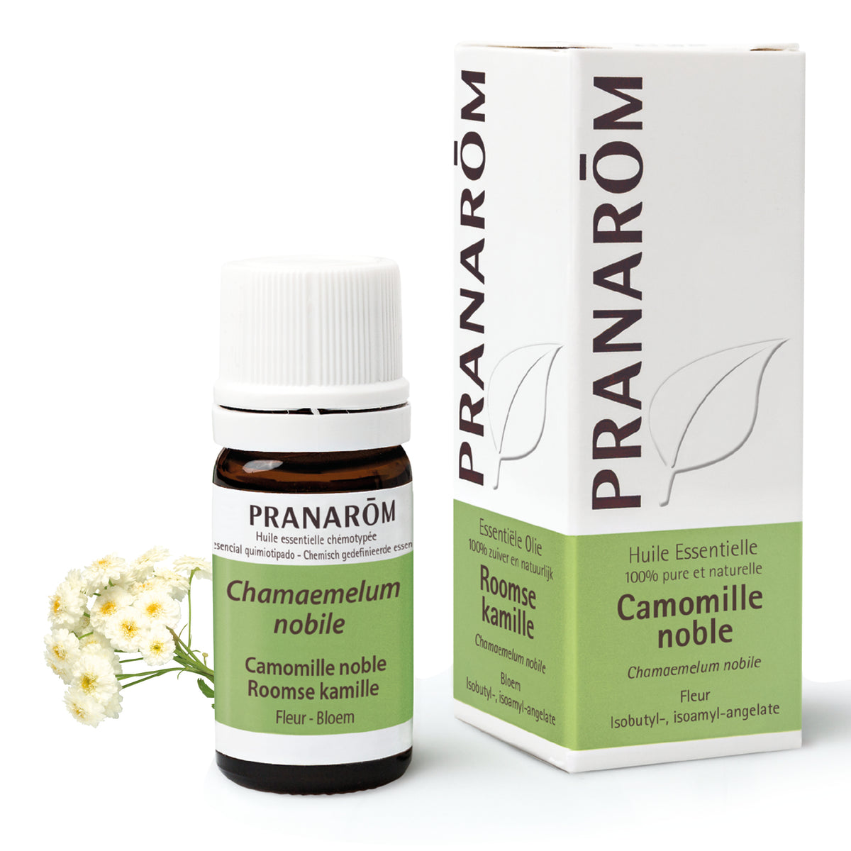 107-he-frnl20-camomille-noble-roomse-kamille-5ml-pranarom-01.jpg