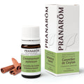123-he-frnl20-cannelier-de-ceylan-srilankese-kaneel-5ml-pranarom-01.jpg
