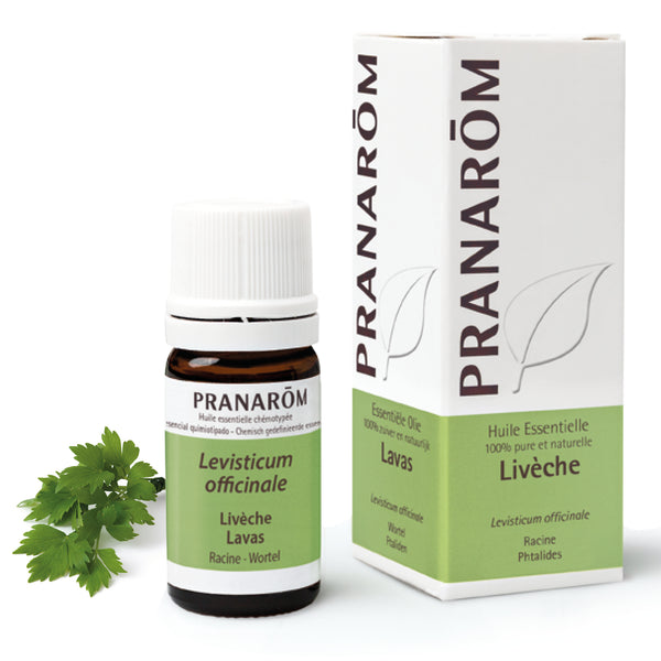 15221-he-frnl20-liveche-lavas-5ml-pranarom-01.jpg