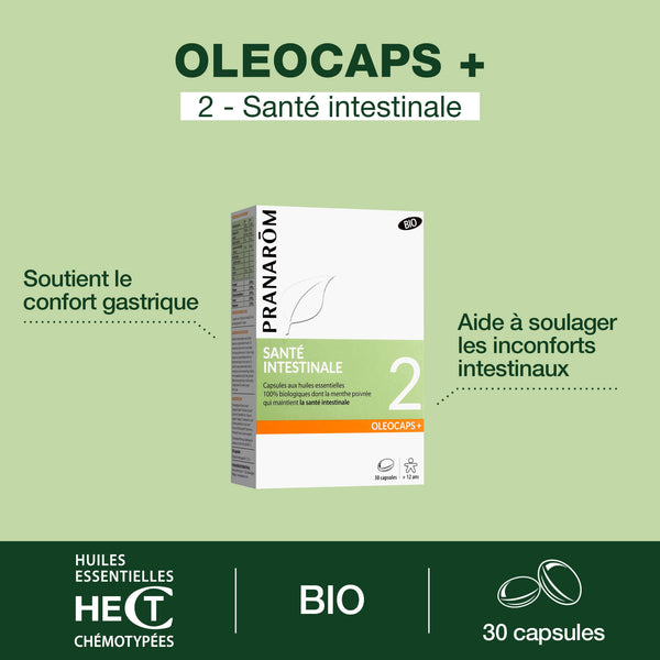 15584-2-sante-intestinale-pranarom-30caps-fr24-5420008527913-02.jpg