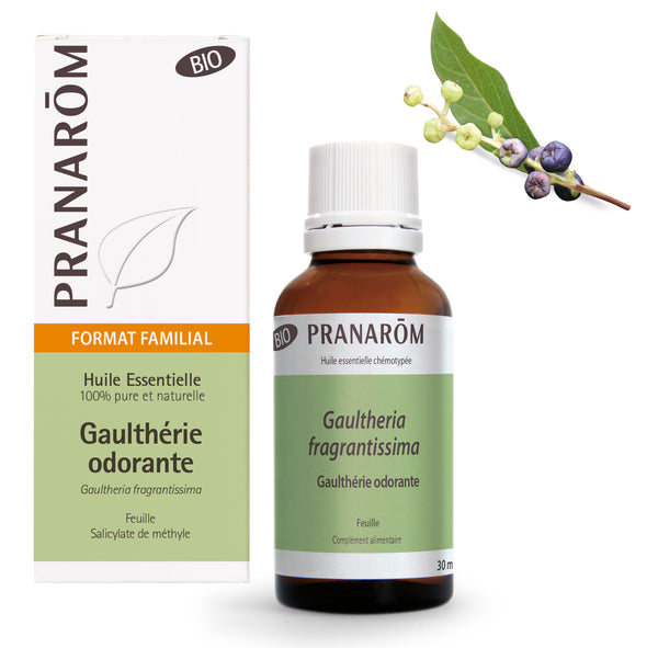 15632-fr-huile-essentielle-gaultherie-odorante-bio-30-ml-pranarom-01.jpg