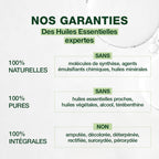 15987-he-immortelle-sommite-fleurie-pranarom-10ml-fr24-5420008529887-03.jpg