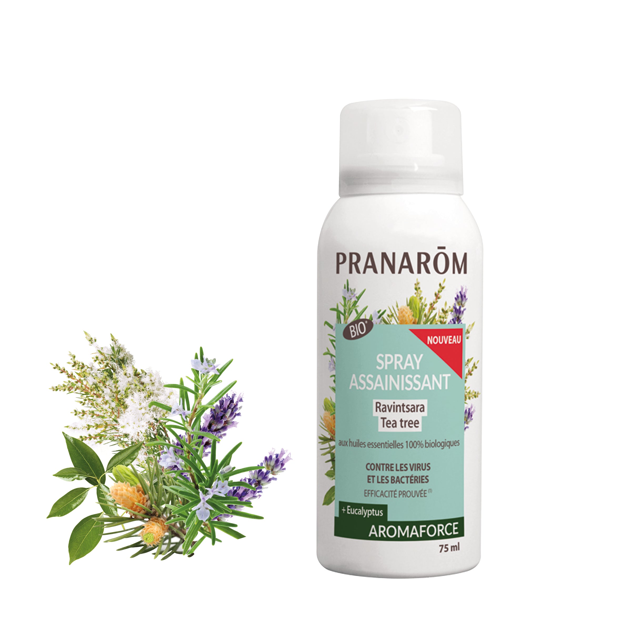 17589-frfr20-aromaforce-spray-assainissant-ravintsara-tea-tree-bio-75ml-pranarom-01.jpg