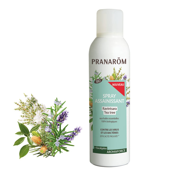 17601-frfr20-aromaforce-spray-assainissant-ravintsara-tea-tree-bio-150ml-pranarom-01.jpg