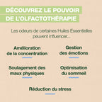 21778-aromaboost-sleep-roller-pranarom-fr24-5420008558054-06.jpg