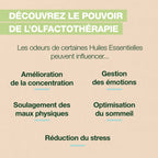 21782-aromaboost-diet-roller-pranarom-fr24-5420008558115-06.jpg
