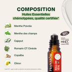 22621-aromalgic-roll-on-tete-pranarom-5ml-fr25-be25-5420008561054-04.jpg
