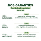 23081-roller-anti-moustiques-et-tiques-zones-tropicales-pranarom-75ml-fr25-5420008563546-04.jpg