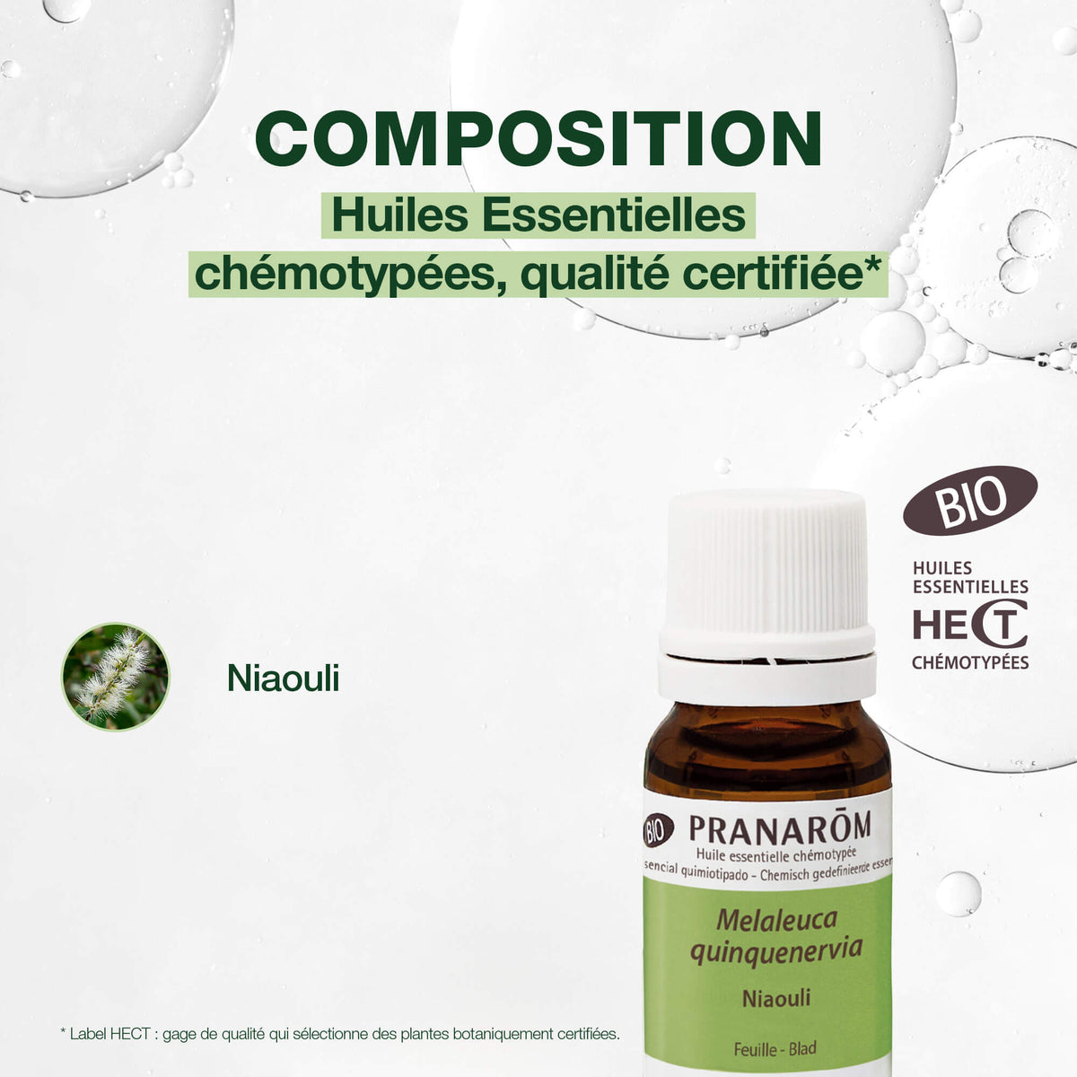 2441-he-niaouli-feuille-pranarom-10ml-fr24-5420008524417-04.jpg