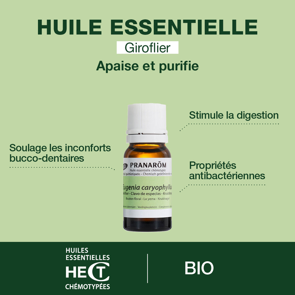 2442-he-giroflier-bouton-floral-pranarom-10ml-fr24-5420008524424-02.jpg