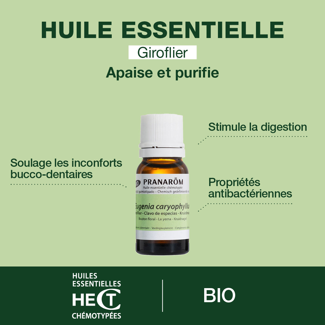 2442-he-giroflier-bouton-floral-pranarom-10ml-fr24-5420008524424-02.jpg
