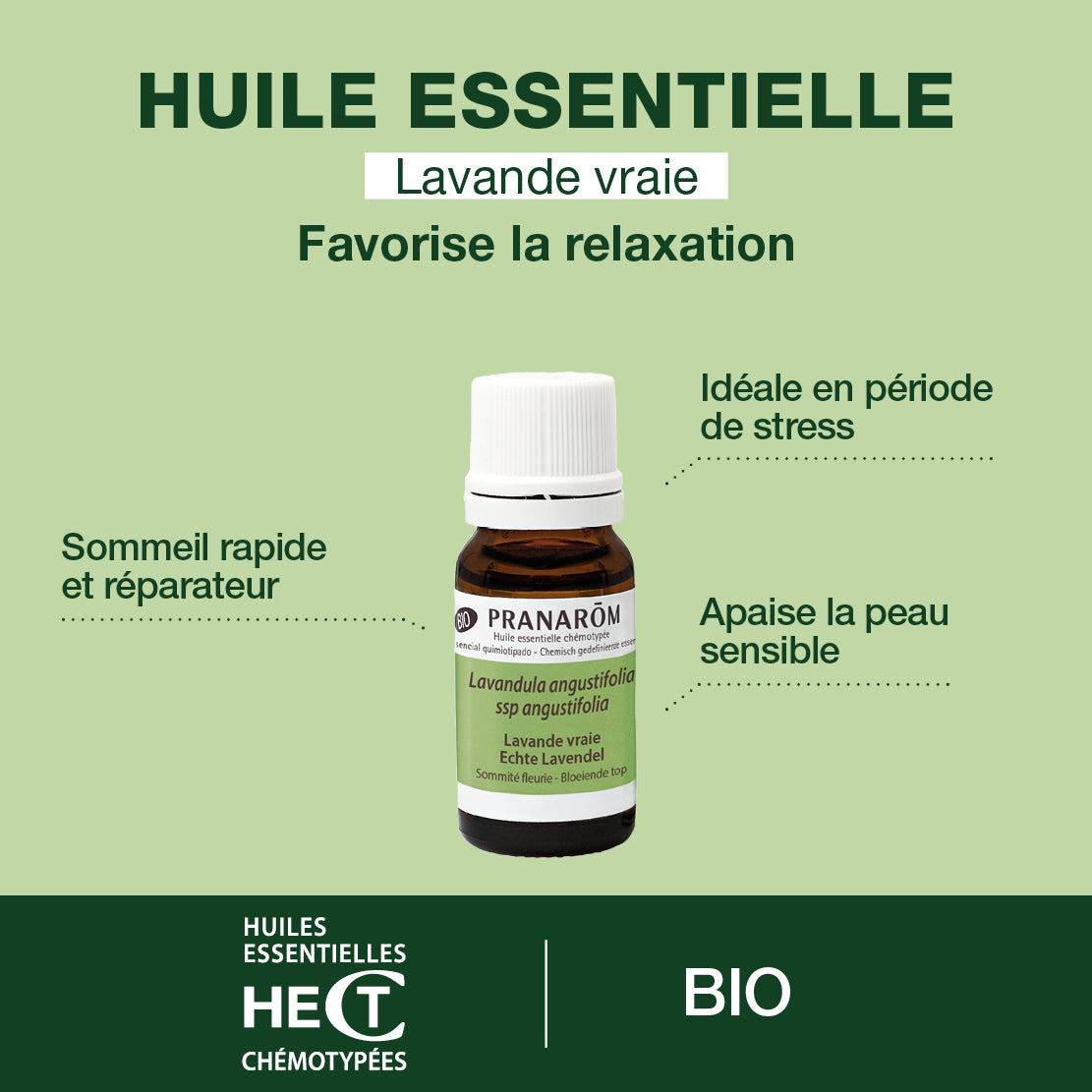 2449-he-lavande-vraie-sommite-fleurie-pranarom-10ml-fr24-5420008524493-02.jpg