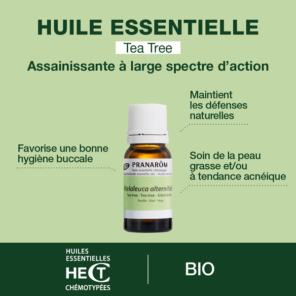 2450-he-tea-tree-feuille-pranarom-10ml-fr24-5420008524509-02.jpg