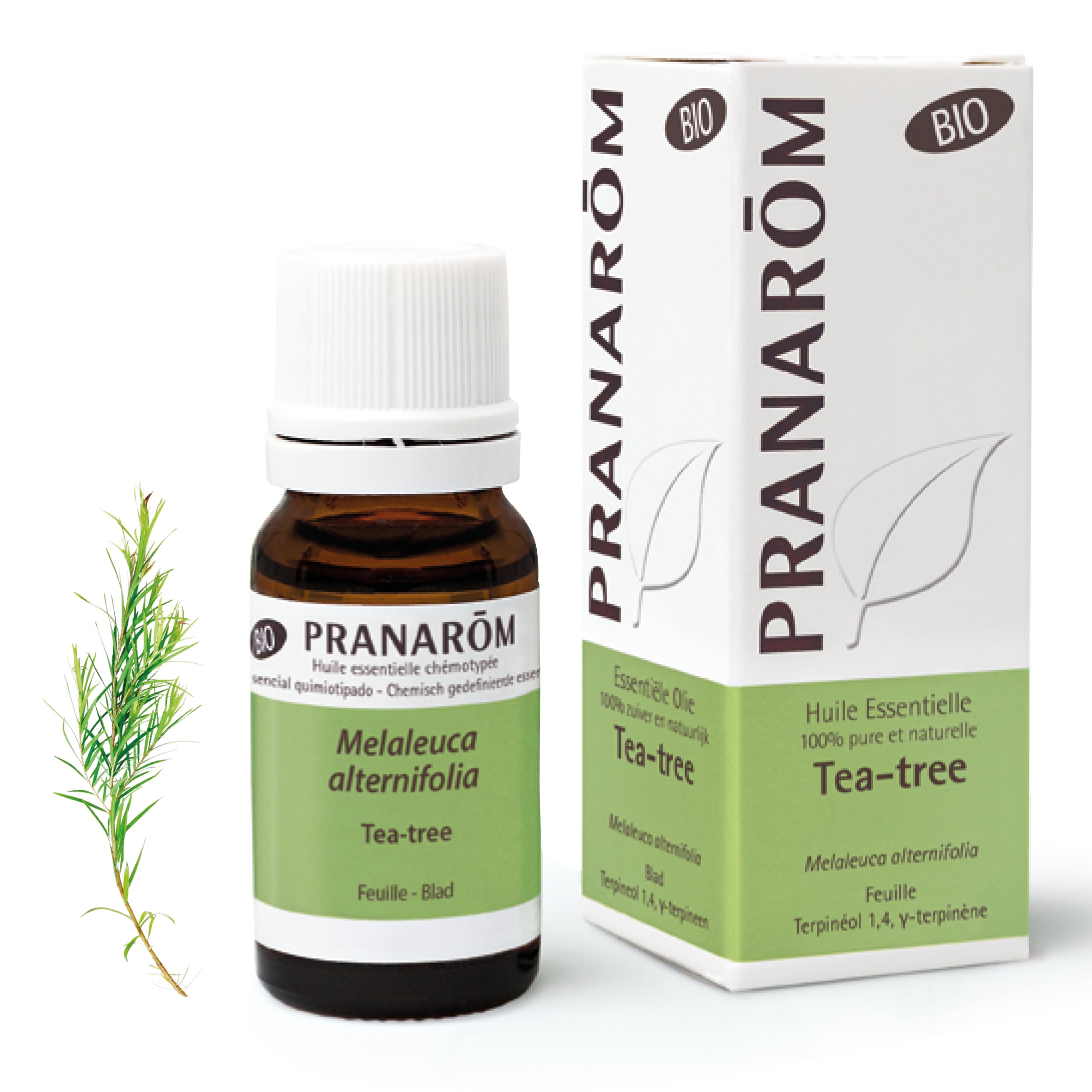 Huile Essentielle de Tea-tree - 10 ml Bio | Pranarôm